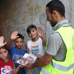 صندوق الخير ينفذ المرحلة الثانية والأخيرة من مشروع أضاحي حملة أضحيتك لفلسطين.. غير 4 ب ١٢٠٠ أضحية